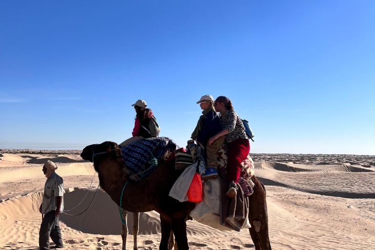Sahara: 1-miesięczny biwak na wydmach pustynnych Camel Trek z kempingiemSabria: 2-dniowy wielbłądzi trekking z biwakiem na pustynnych wydmach i kempingiem