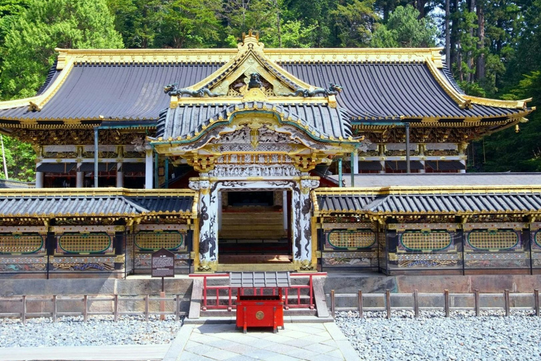 Tokyo: City Full-Day Private Customizable Best Places Tour