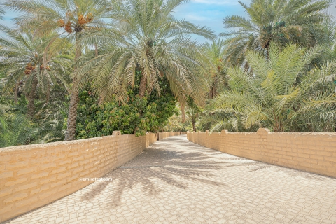 Al Ain: A Full-Day Tour from Abu Dhabi Captivating Al Ain - A Full-Day Tour from Abu Dhabi