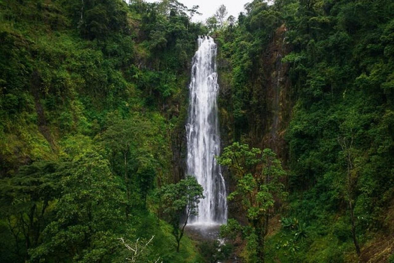 Moshi : Circuit des chutes d&#039;eau, du café et des sources thermales de Materuni