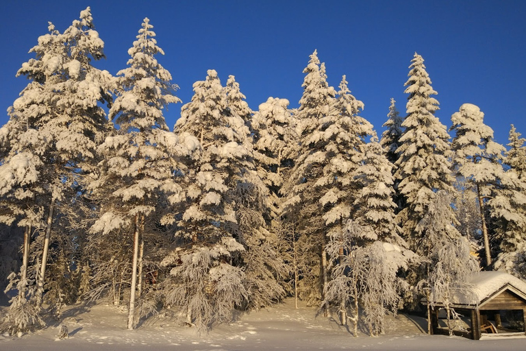 Rovaniemi: Noche lapona con cena