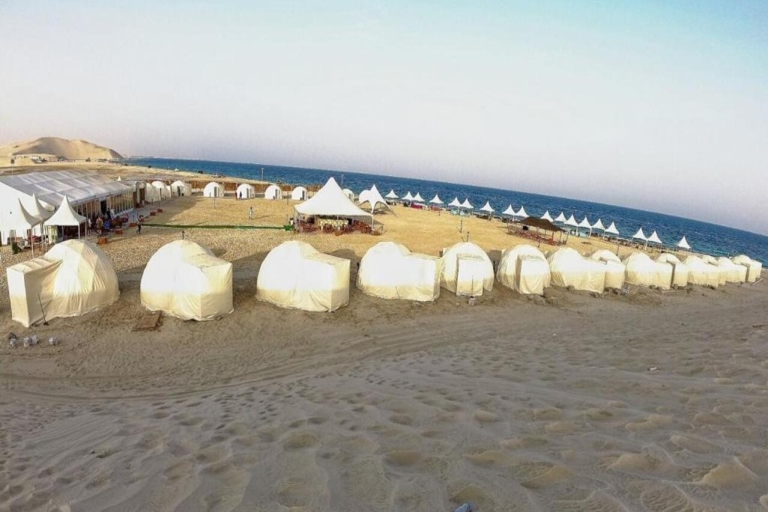 Doha: privésafari van een hele dag met barbecuediner in Desert Camp