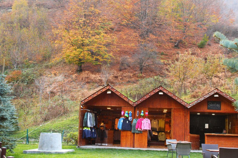 Delad rundtur i Shamakhi och Gabala