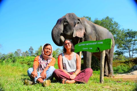 Elephant Retirement Park Volunteering and Homestay Program