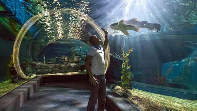 tickets para sea life ocean world de bangkok