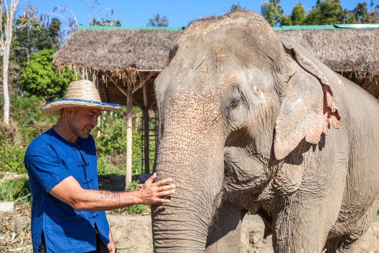 Chiang Mai: tour respetuoso por el santuario de elefantesTour de medio día por la tarde
