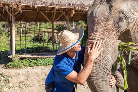 Chiang Mai Elephant Sanctuary Small Group Ethical Tour
