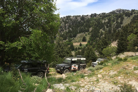 Van Chania: White Mountains Land Rover Safari