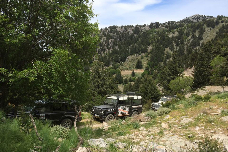 Från Chania: Landroversafari i Vita bergen