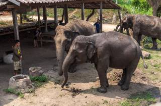 Elefantenschutzgebiet & Kanchanaburi-Highlights-Tour