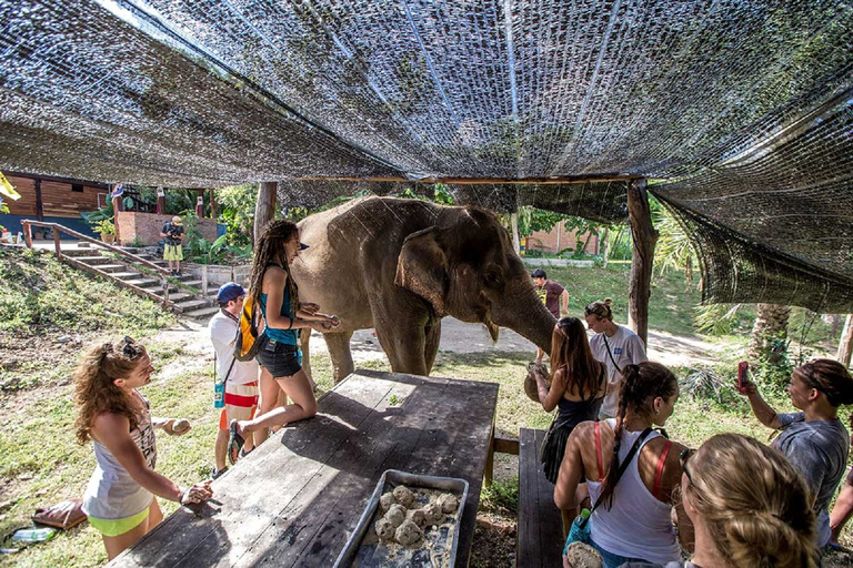 Från Bangkok: Elefantreservat och rundtur i KanchanaburiElefantreservat och Kanchanaburi med privat bil