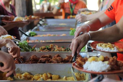 De Bangkok: Santuário de elefantes e excursão a KanchanaburiSantuário de Elefantes e Kanchanaburi c/ Carro Particular