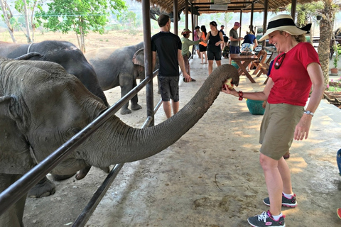 Tour privado de santuario de elefantes y Kanchanaburi