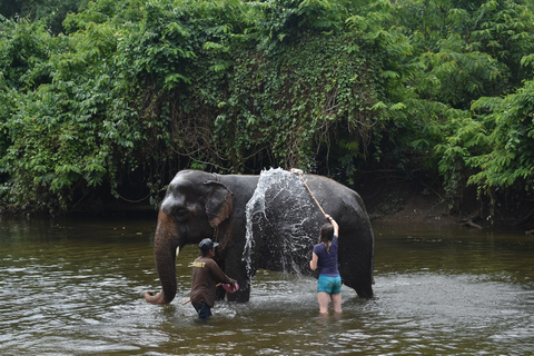 Från Bangkok: Elefantreservat och rundtur i KanchanaburiElefantreservat och Kanchanaburi med privat bil