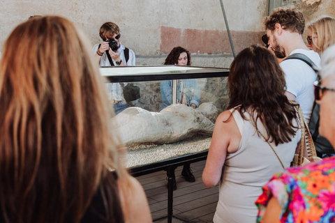 Sorrento: Pompeii & Mount Vesuvius Tour with Transfers