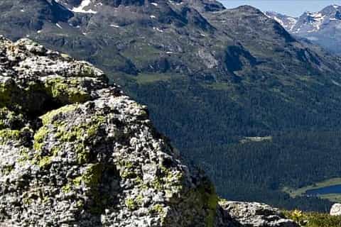 St. Moritz: Private Guided Hiking Tour