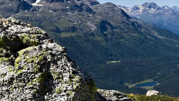 st. moritz private guided hiking tour