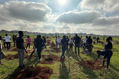 Nairobi: Tree Planting Experience with Hotel Pickup