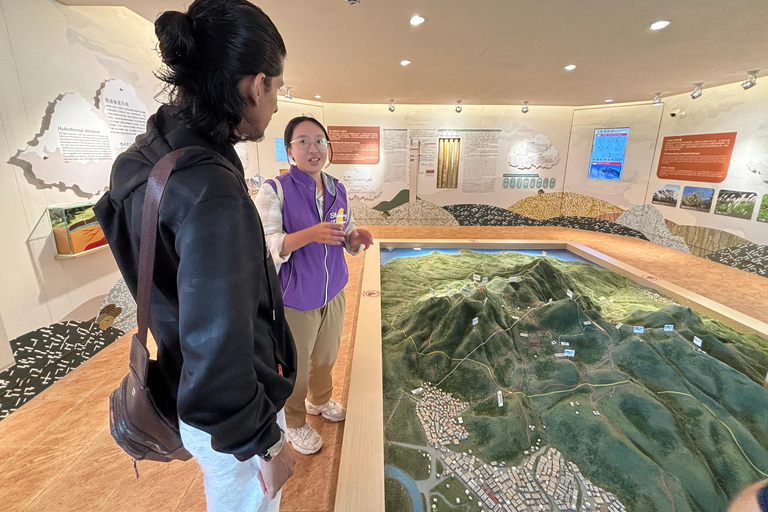 Taipei : visite à pied de Yanmingshan - prairie de Qingtiangang