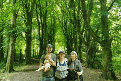 Wexford: Explore an Ancient Woodland with an Irish Witch