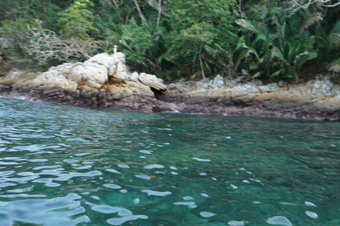 Yelapa: Tour com tudo incluído