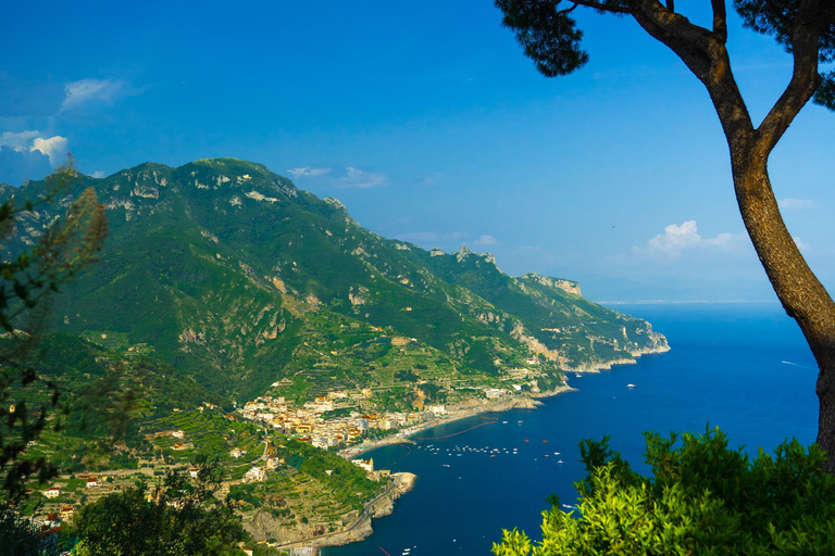 Positano, Amalfi & Ravello Trip with Seaside Lunch From Rome Positano, Amalfi & Ravello Trip with Seaside Lunch From Rome