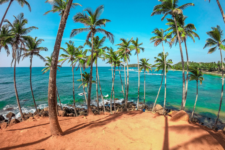 7 Days in Sri Lanka: Private Luxury Honeymoon Tour