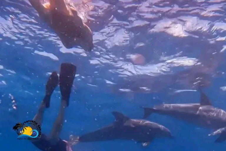 Zanzíbar: Excursión al atolón de Mnemba y experiencia de snorkel con delfines