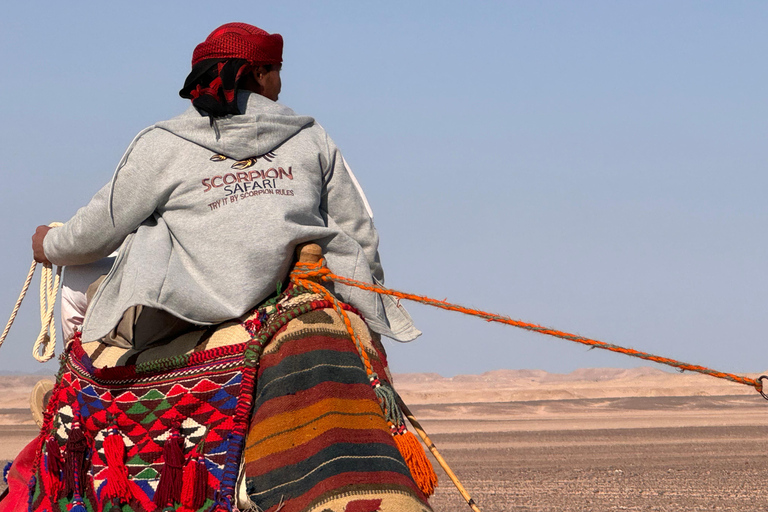 Hurghada: Camel Ride & horse ride and Off-Road Jeep Tour pickup from hotels inside hurghada