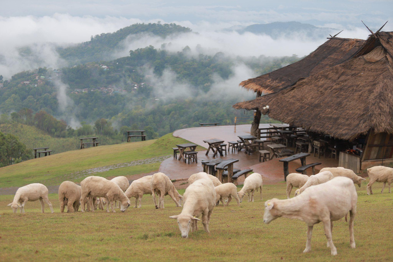 Chiang Mai: Chiang Rai Temples & Akha FarmVille Day Trip