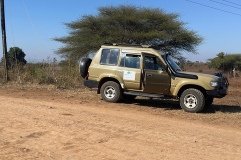 Moshi/Arusha: Chemka Hot Springs Materuni Waterfall Day tour 2 in 1 : Materuni & Chemka tour from Moshi