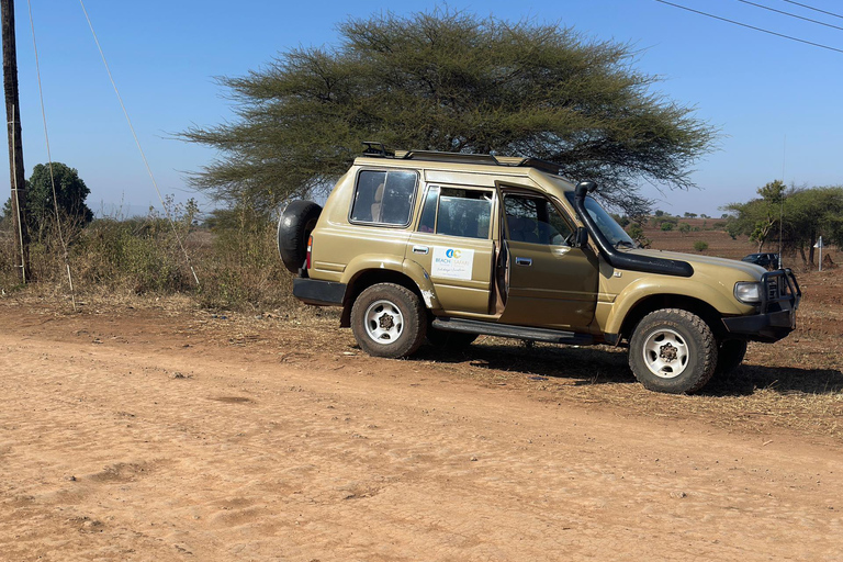 Moshi/Arusha: Chemka Hot Springs Materuni Waterfall Day tour 2 in 1 : Materuni & Chemka tour from Moshi