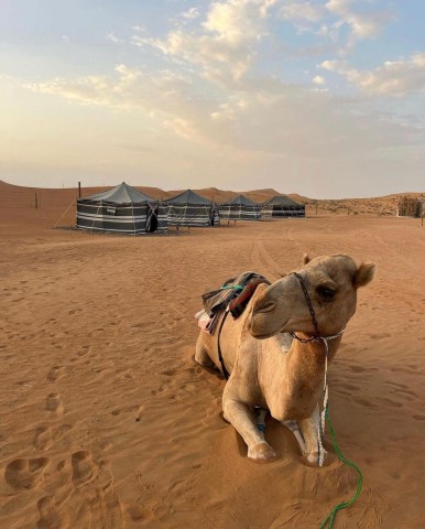 Luxe woestijnsafari met overnachting in Salalah