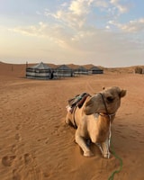Luxus über Nacht Desert Safari in Salalah - Housity