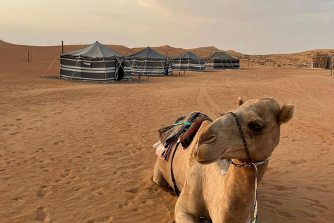 Safári de luxo com pernoite no deserto em Salalah