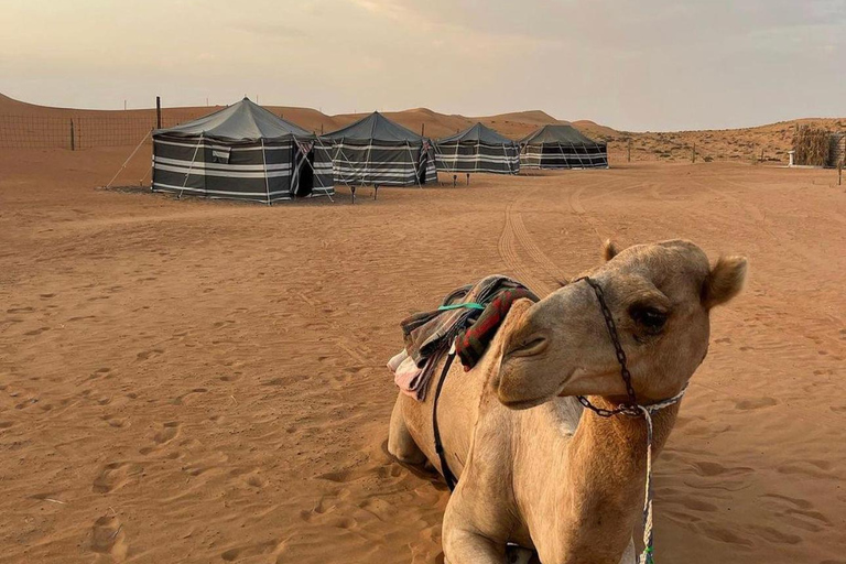 Safári de luxo com pernoite no deserto em Salalah