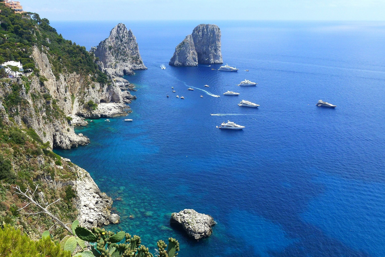 Från Sorrento: Fiske i Capri med lunch