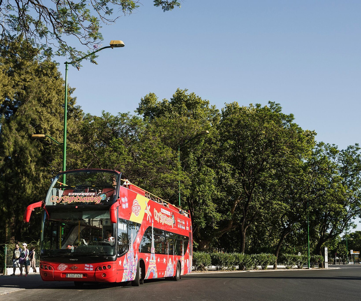 Alesund: Hop-On Hop-Off Bus Tour