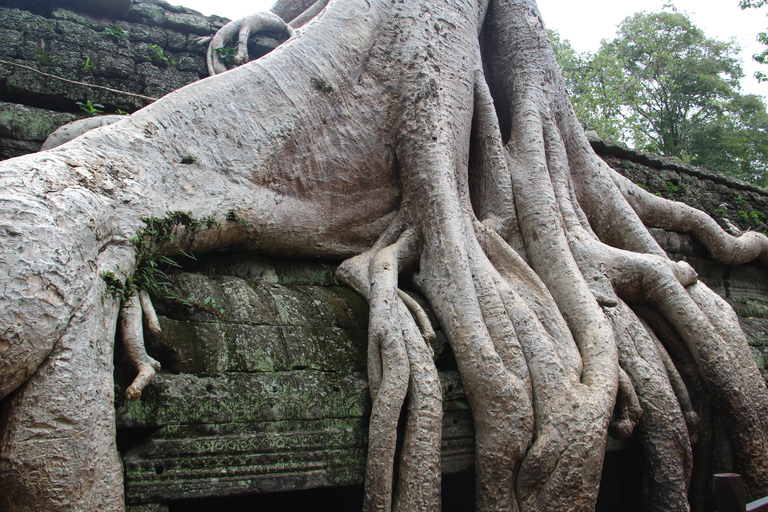 Angkor Wat-dag privétour met zonsondergang