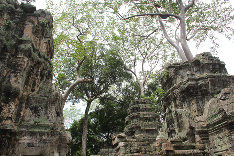 Angkor Wat-dag privétour met zonsondergang