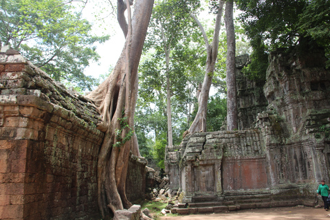 Angkor Wat-dag privétour met zonsondergang