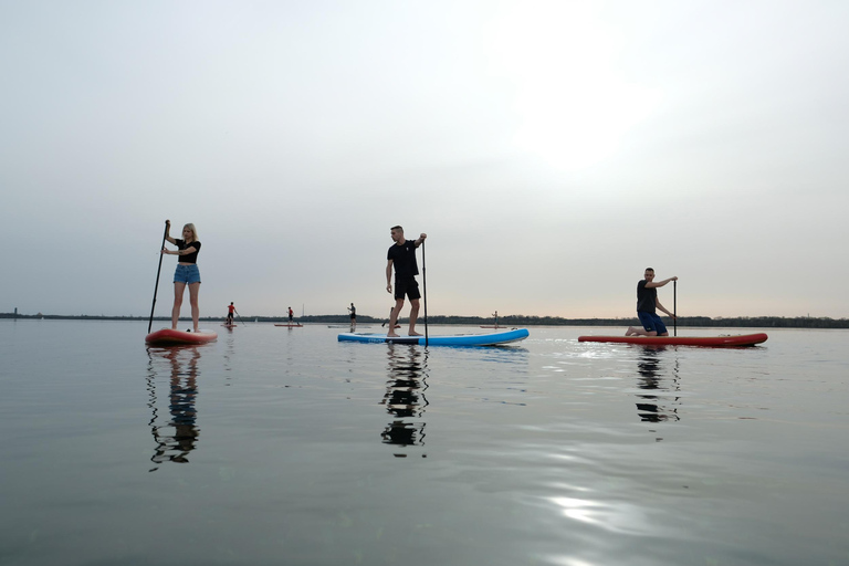 Rent a stand-up-paddling board