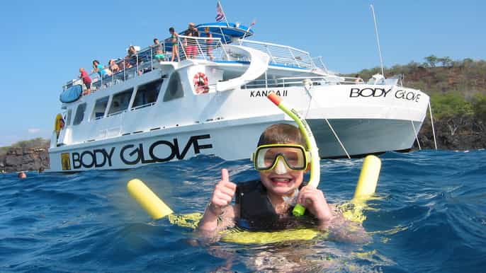 big island tour ecológico de snorkel y observación de delfines