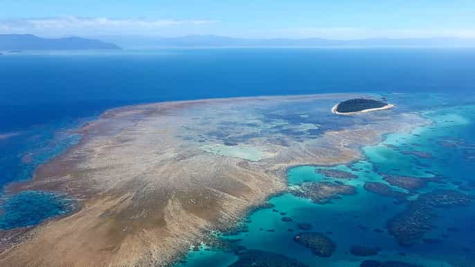 cairns reef flight skyrail kuranda scenic rail combo