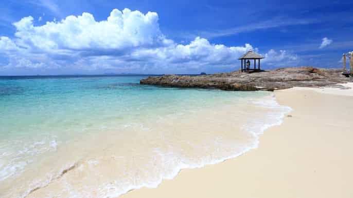 desde phuket snorkeling y avistamiento de delfines en la isla de maiton