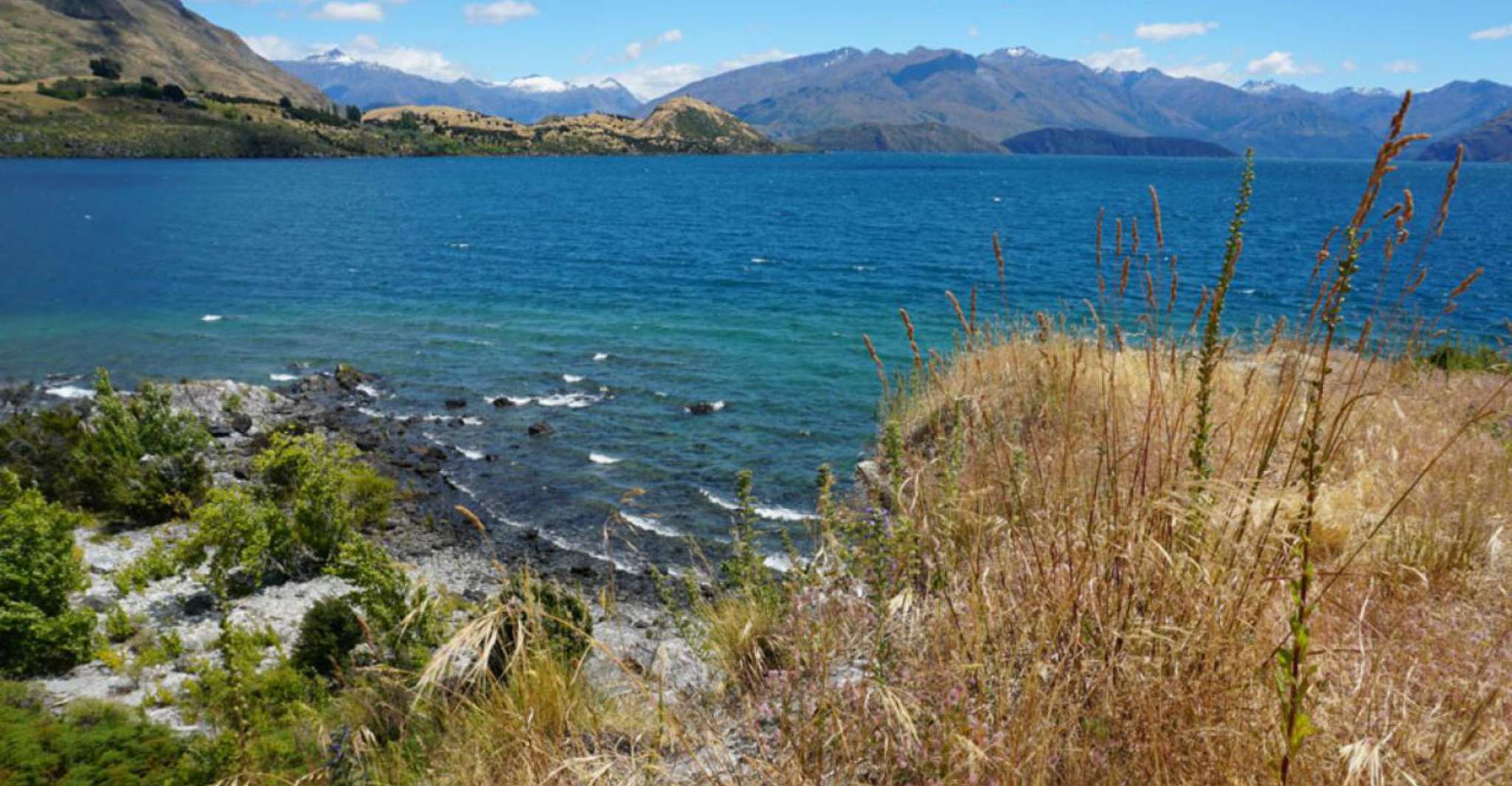 ワナカから、ルビー島1 HourStore and フォトウォーク - Hizvo