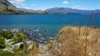 De Wanaka, Ruby Island Croisière d'une heure et promenade photo - Hizvo