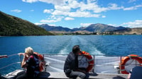 Stevensons Island 2-Hour Cruise and Nature Walk - Housity