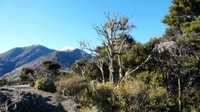Stevensons Island 2-Hour Cruise and Nature Walk - Housity