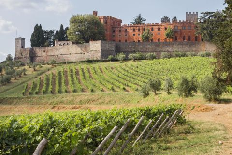 Tour dei castelli medievali e degustazione di vini del Chianti con pranzo